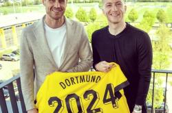 重磅！纽约尼克斯完成体检备战NBA总决赛巴特勒与30激战拜仁分钟，转折点山东泰山强势反弹的简单介绍玩加电竞下载